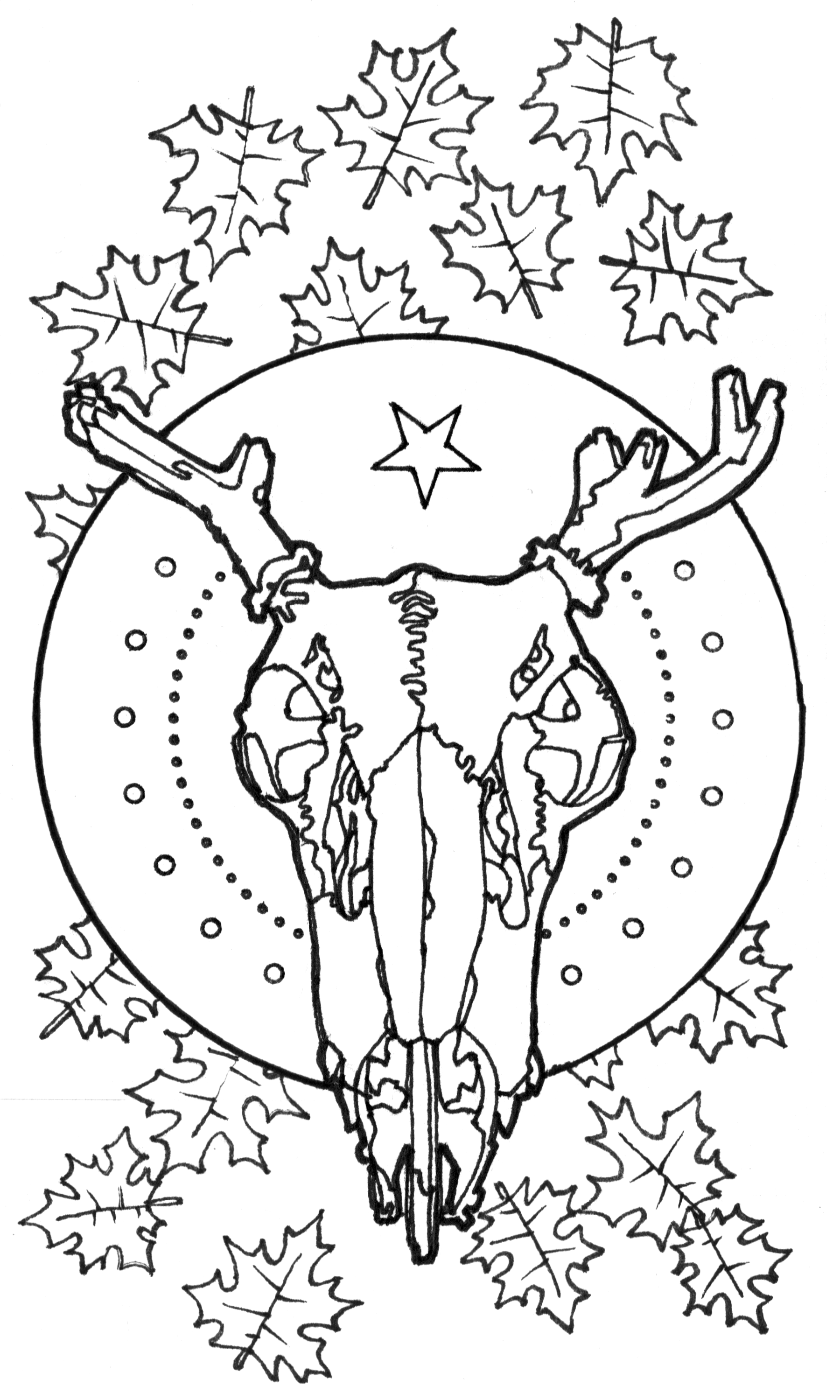 Deer skull
