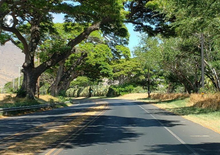 How to Avoid the Slow Lane The Best Lane on the Highway is a Science