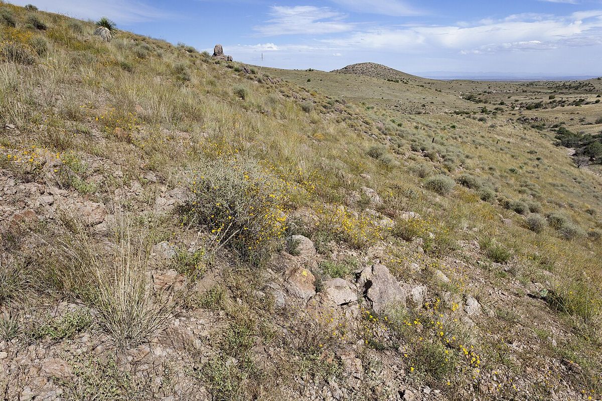 Ladera de zacate y matorral bajo, con el monte abierto hasta el horizonte.