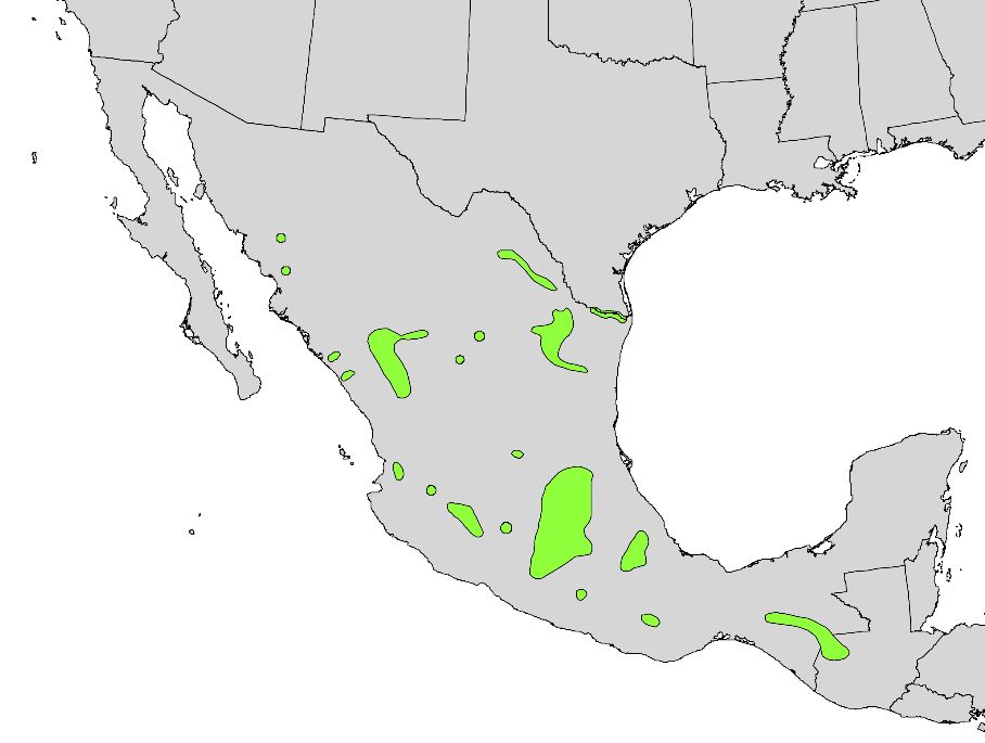 Mapa de México con la distribución del ahuehuete marcada en verde.