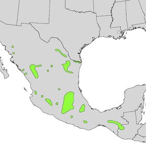 Mapa de México con la distribución del ahuehuete marcada en verde.