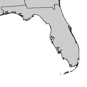 Mapa de Florida con una zona diminuta señalada en el extremo sur.