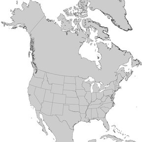 Mapa de Norteamérica en gris, sin marcas visibles de distribución.
