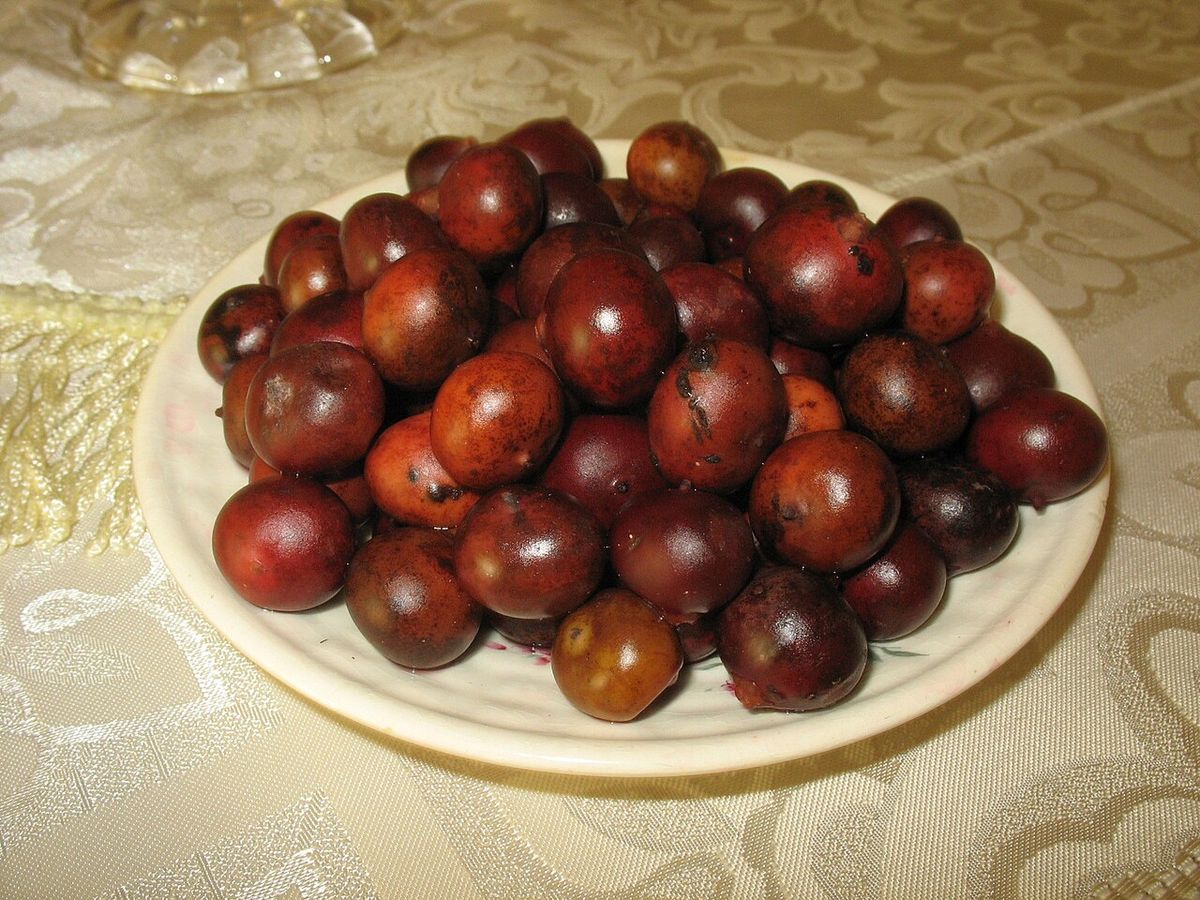 Frutos pardos y brillantes de palma mantequilla servidos en un plato.