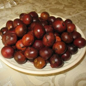 Frutos pardos y brillantes de palma mantequilla servidos en un plato.