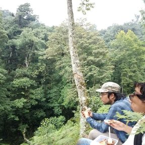 Árbol entero de tronco recto y copa rala, con dos personas sentadas al pie.