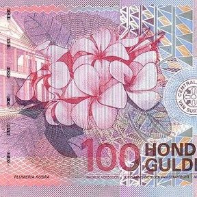 Billete de cien gulden de Surinam con la flor del cacaloxóchitl impresa.