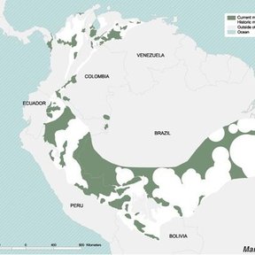 Mapa del área de distribución histórica y actual de la caoba en América.