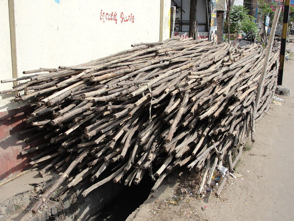 Varas de casuarina apiladas en la calle junto al muro de una casa.