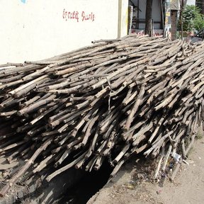 Varas de casuarina apiladas en la calle junto al muro de una casa.