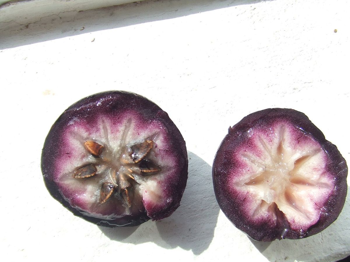 Caimito partido en dos mitades, con la pulpa blanca estrellada dentro de la cáscara morada.