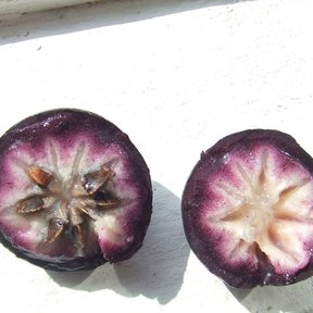 Caimito partido en dos mitades, con la pulpa blanca estrellada dentro de la cáscara morada.
