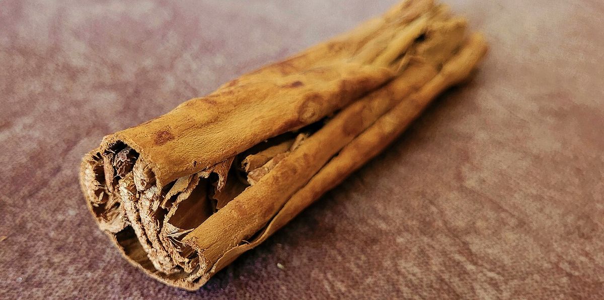 Rollo de canela seca, enrollada en capas, sobre una superficie rojiza.