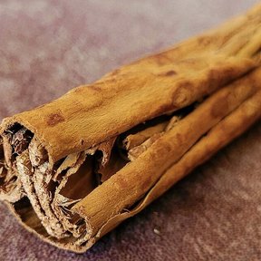 Rollo de canela seca, enrollada en capas, sobre una superficie rojiza.