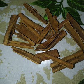 Trozos de corteza seca de canelo extendidos sobre una tela estampada.