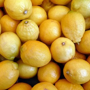 Montón de frutos cítricos amarillos apilados en un puesto de mercado.