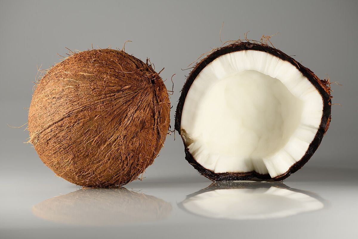 Un coco entero y otro partido a la mitad, sobre un fondo gris de estudio.