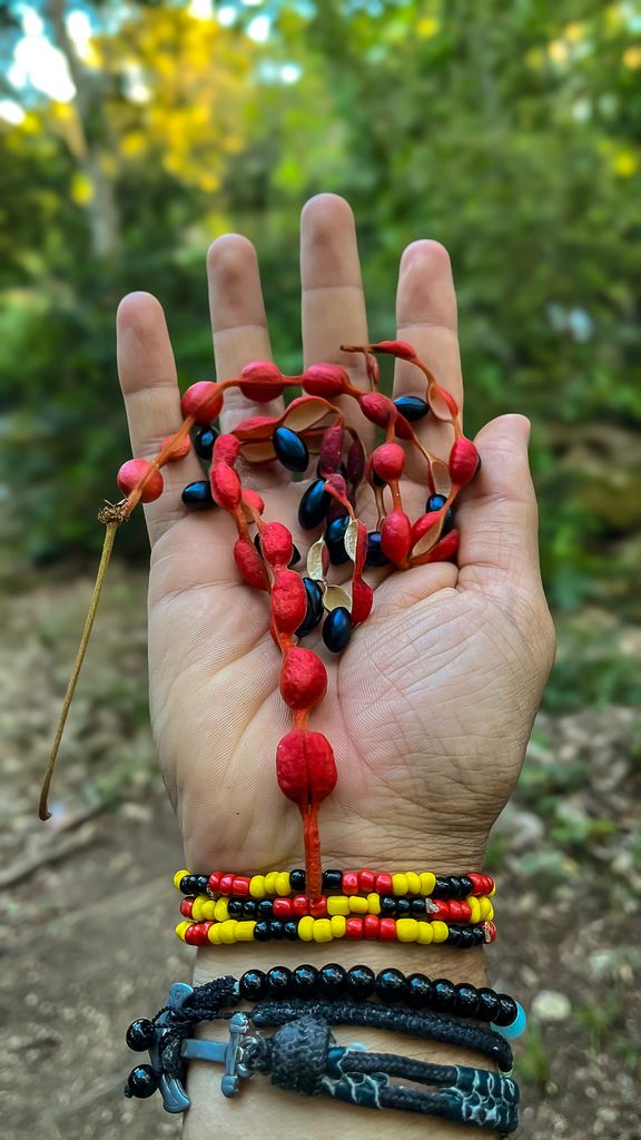 Una mano sostiene un collar hecho con las semillas rojas y negras del frijolillo.