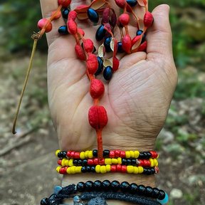 Una mano sostiene un collar hecho con las semillas rojas y negras del frijolillo.