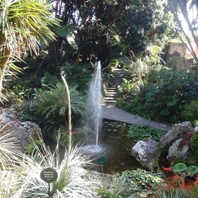 Jardín botánico con una fuente y plantas de hoja larga alrededor del estanque.