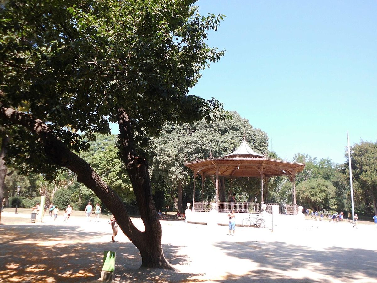 Encino de asta de tronco inclinado y copa ancha junto a un kiosco de parque.