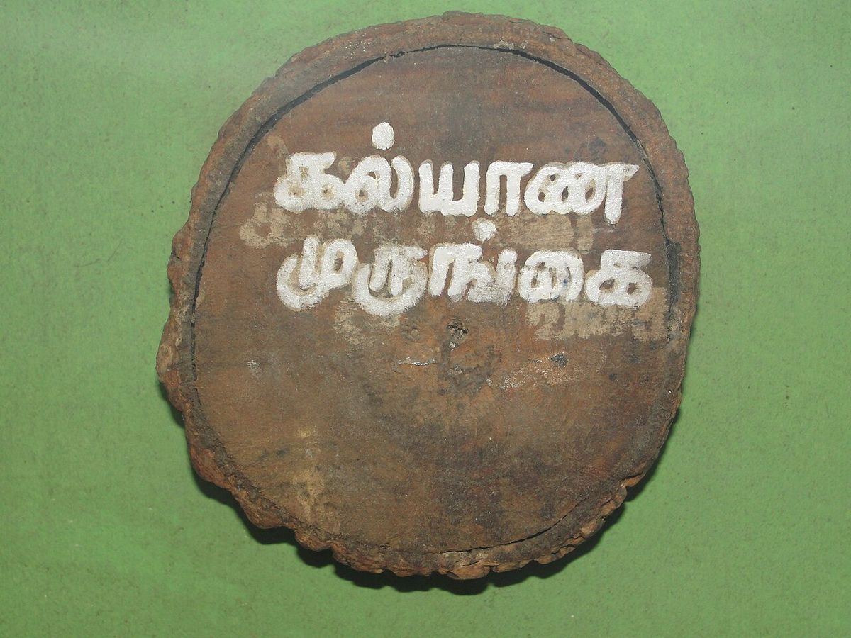 Rodaja de tronco pintada de verde con un nombre rotulado en letras tamiles.
