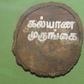 Rodaja de tronco pintada de verde con un nombre rotulado en letras tamiles.
