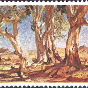 Timbre postal australiano con una pintura de eucaliptos rojos de tronco blanco.