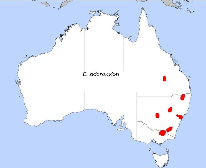 Mapa de Australia con la distribución de la especie marcada en rojo.