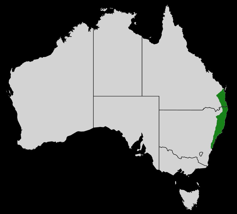 Mapa de Australia con la costa oriental marcada en verde.