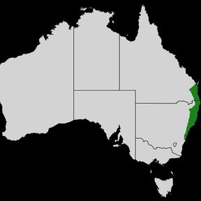 Mapa de Australia con la costa oriental marcada en verde.