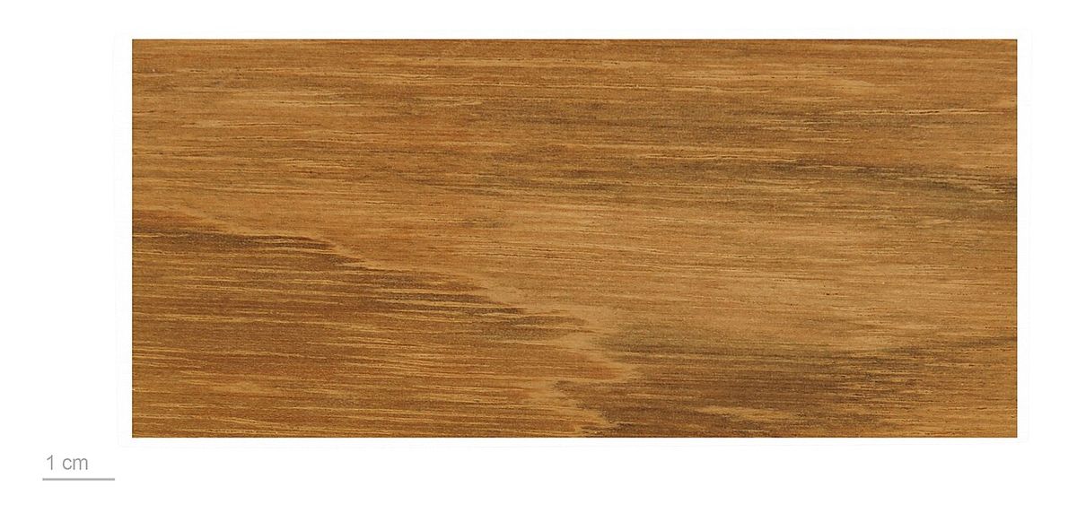 Muestra de madera de cuapinole con una escala de un centímetro al pie.