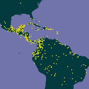 Mapa de América con puntos amarillos que marcan los registros de la especie.