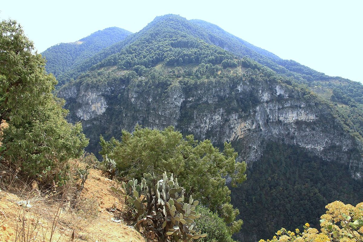 Cerro boscoso con paredones de roca caliza, visto desde un talud con nopales.