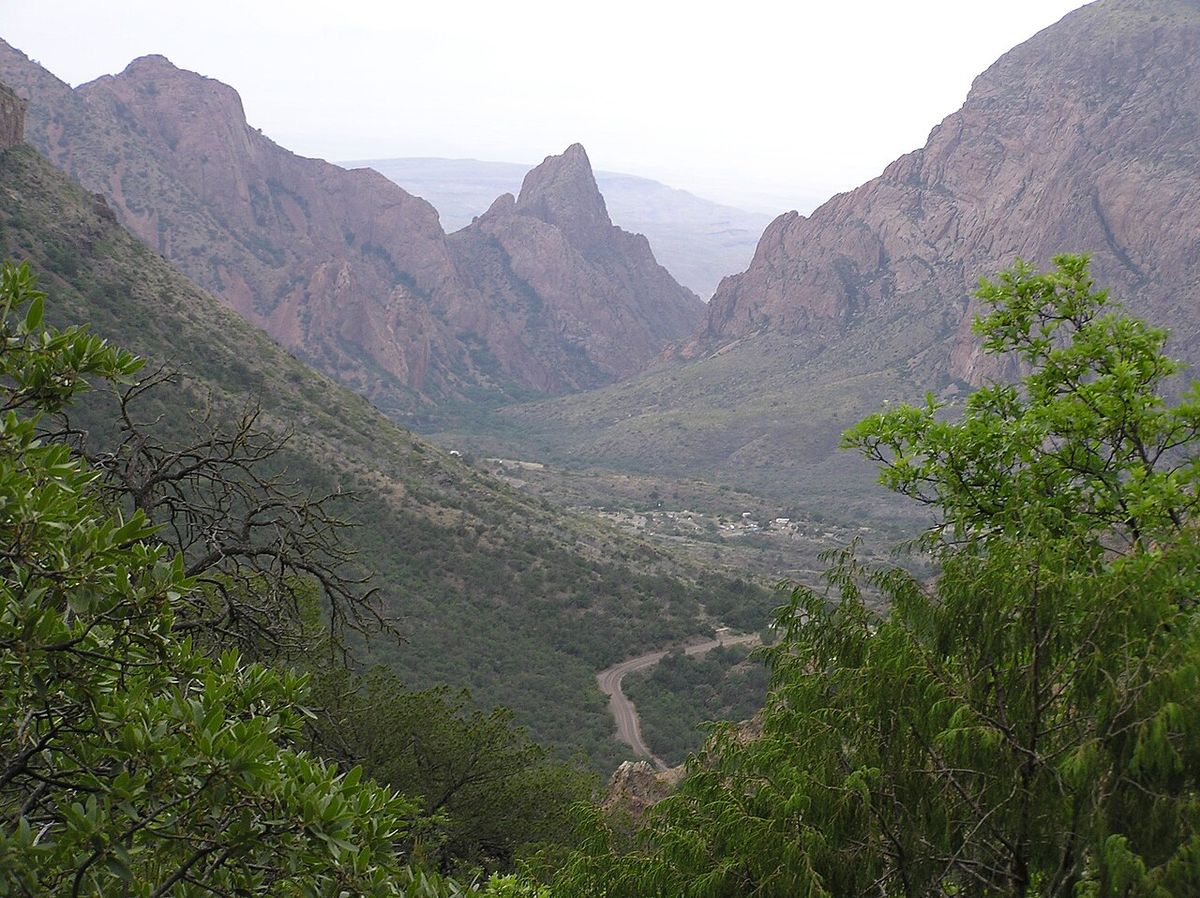 Cañón entre farallones rojizos con un valle boscoso al fondo.