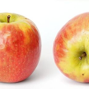 Dos manzanas enteras y una partida a la mitad sobre fondo blanco.