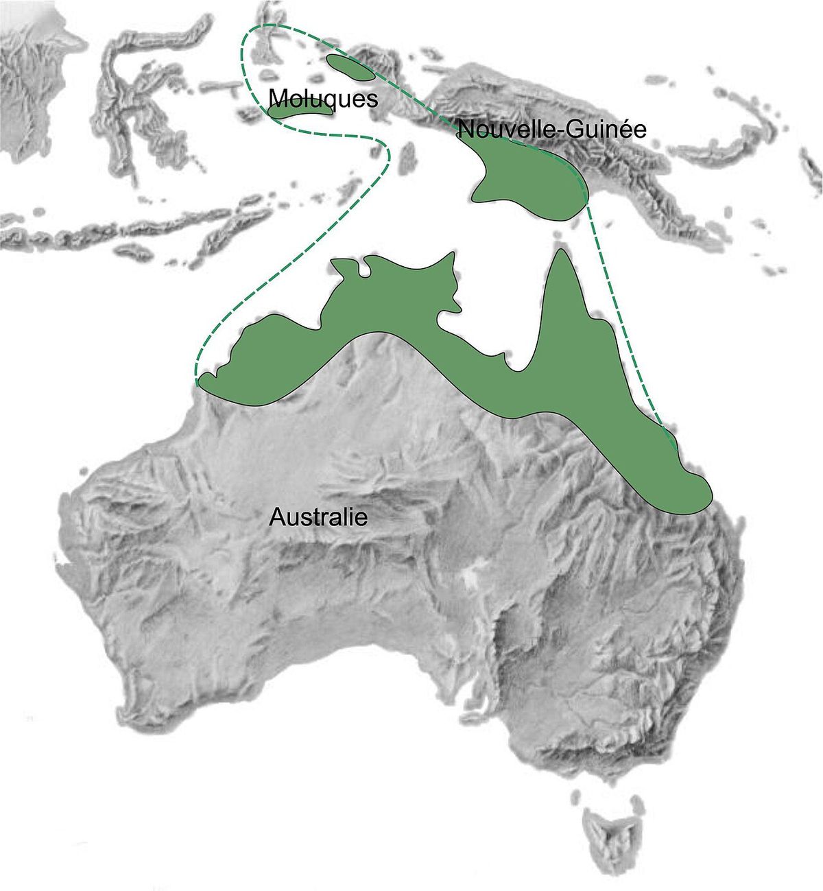 Mapa del norte de Australia y Nueva Guinea con la distribución marcada en verde.