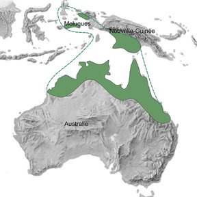 Mapa del norte de Australia y Nueva Guinea con la distribución marcada en verde.