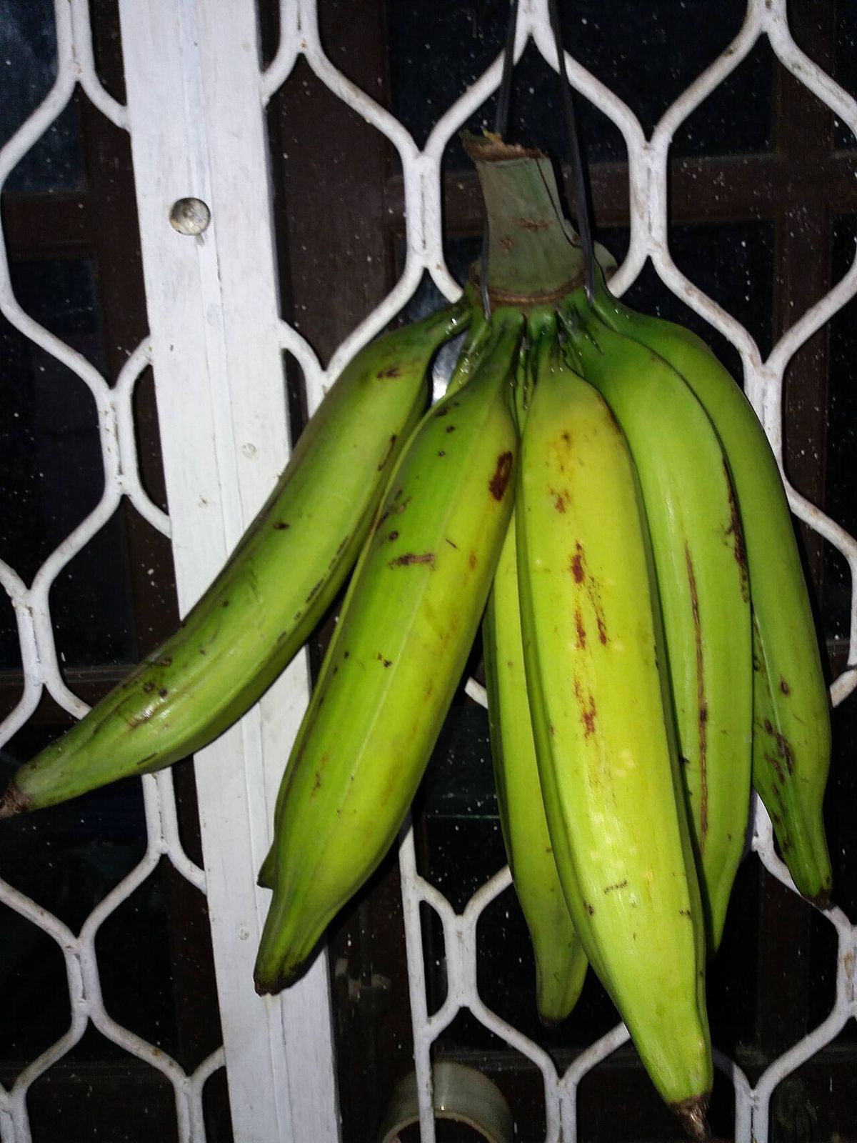 Mano de plátanos verdes colgada frente a una reja blanca.