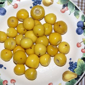 Nanches amarillos amontonados en un plato de loza floreada sobre un mantel.
