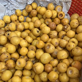 Montón de nanches amarillos a la venta sobre un plástico en el mercado.