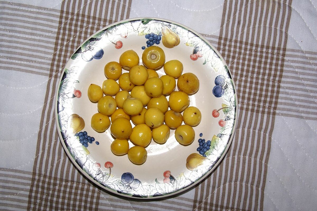 Nanches amarillos servidos en un plato blanco de borde floreado.