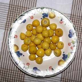 Nanches amarillos servidos en un plato blanco de borde floreado.