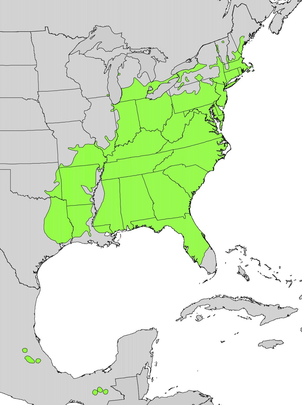 Mapa del este de Estados Unidos con la distribución del manzanillo en verde.