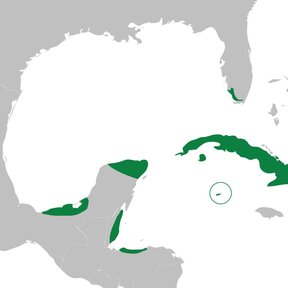 Mapa del Caribe con la distribución de la palma real marcada en verde.