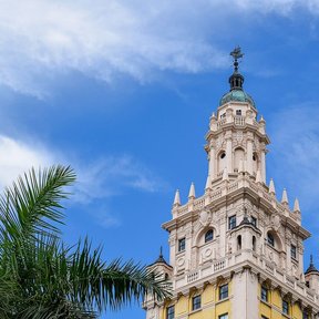 Torre de un edificio antiguo enmarcada por las hojas de una palma real.