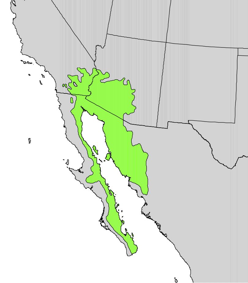 Mapa del noroeste de México con el área de distribución del palo fierro en verde.
