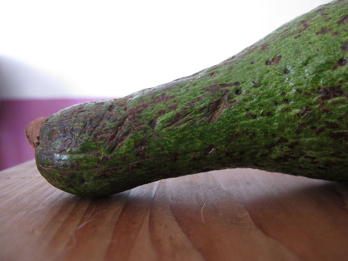 Un chinine entero de piel verde y morada apoyado sobre una mesa.