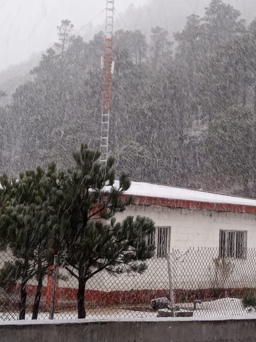 Nevada cayendo sobre pinabetes y una casa al pie de una ladera boscosa.