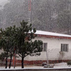 Nevada cayendo sobre pinabetes y una casa al pie de una ladera boscosa.